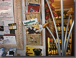 osteria_rotonda_facchinetti_torino_53